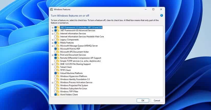 the-optional-windows-features طريقة إدارة الميزات الاختيارية في Windows 11 خطوة بخطوة