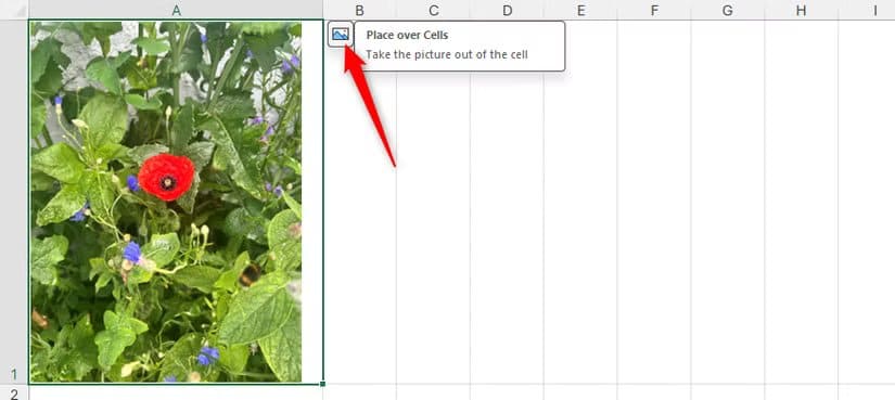 the-place-over-cells-icon-is-selected-next-to-an-in-cell-picture-in-microsoft-excel طريقة سريعة لقص الصور في Word وExcel وPowerPoint