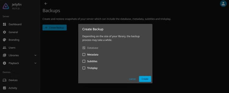 the-system-backup-interface-on-jellyfin-10-11-0 ميزات مذهلة في تحديث Jellyfin الأخير تجعل خادم البث أكثر سلاسة واستقرارًا