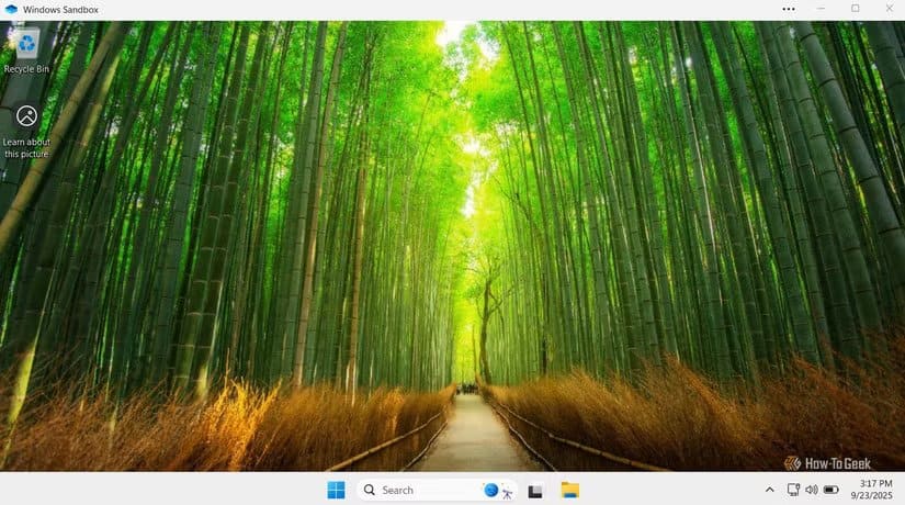 windows-sandbox-in-windows-11 شرح طريقة استخدام Windows Sandbox لتشغيل البرامج بأمان