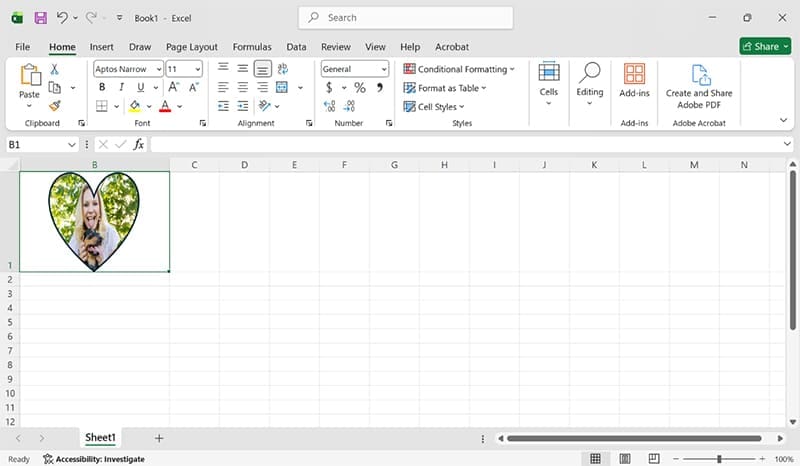 How-to-Insert-a-Picture-in-Excel-Cell-7 طريقة سهلة لوضع صورة داخل خلية Excel دون تشويه التنسيق