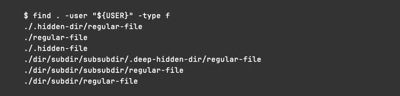 linux-find-users-files-not-directories دليل مبسّط لاكتشاف الملفات بسرعة باستخدام أمر find في Linux