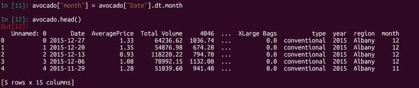 pandas-avocado-month أدوات Python الأساسية التي تمنح أي جهاز جديد بداية قوية