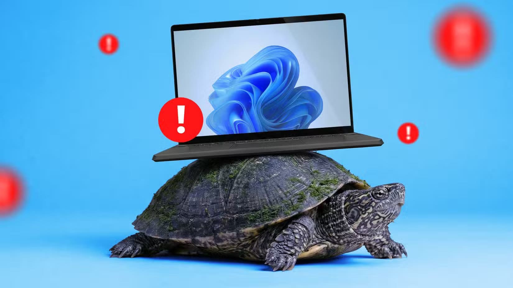 a-laptop-running-windows-11-resting-on-a-turtle-s-shell-surrounded-by-warning-signs لماذا يصعب إعادة بناء نظام ويندوز من الصفر بسبب توافق البرامج