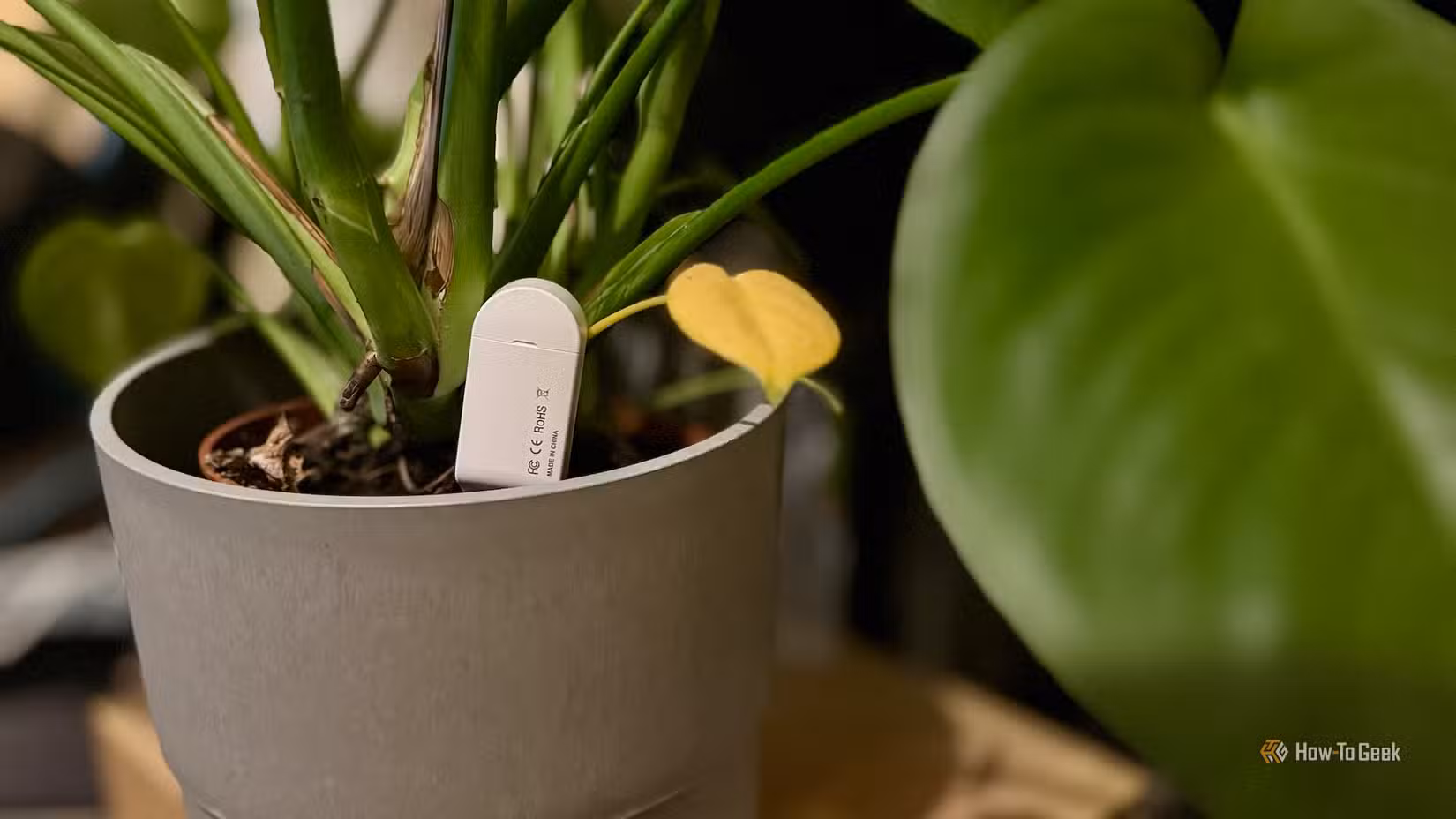 a-soil-sensor-embedded-in-the-soil-of-a-potted-plant 5 طرق ذكية لربط الطابعة ثلاثية الأبعاد بالمنزل الذكي والاستفادة منها يوميًا