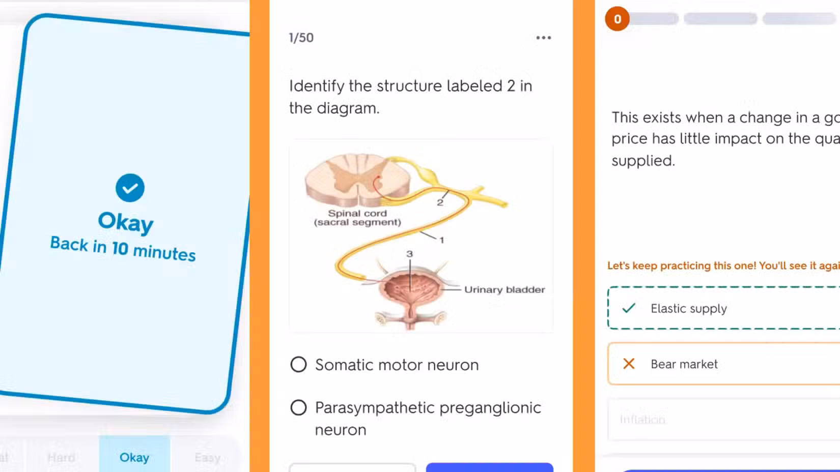 quizlet-being-used-to-learn-about-the-human-body 4 أدوات ذكاء اصطناعي للطلاب تستحق الاستخدام لتحسين الدراسة والإنتاجية