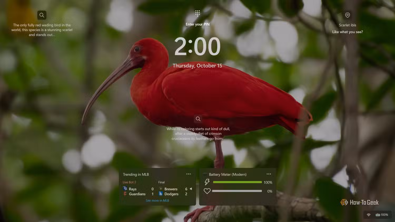 windows-11-lock-screen-example-001 6 إعدادات في ويندوز 11 يمكنك تغييرها الآن لتحسين تجربة الاستخدام